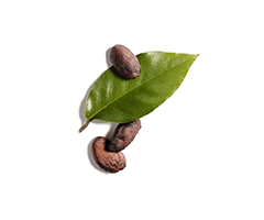 Óleo de Jojoba Óleo de Jojoba