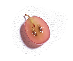 Água de Uva Orgânica Água de Uva Orgânica