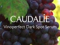 Brightening Dark Spot Serum Vitamin C Alternative