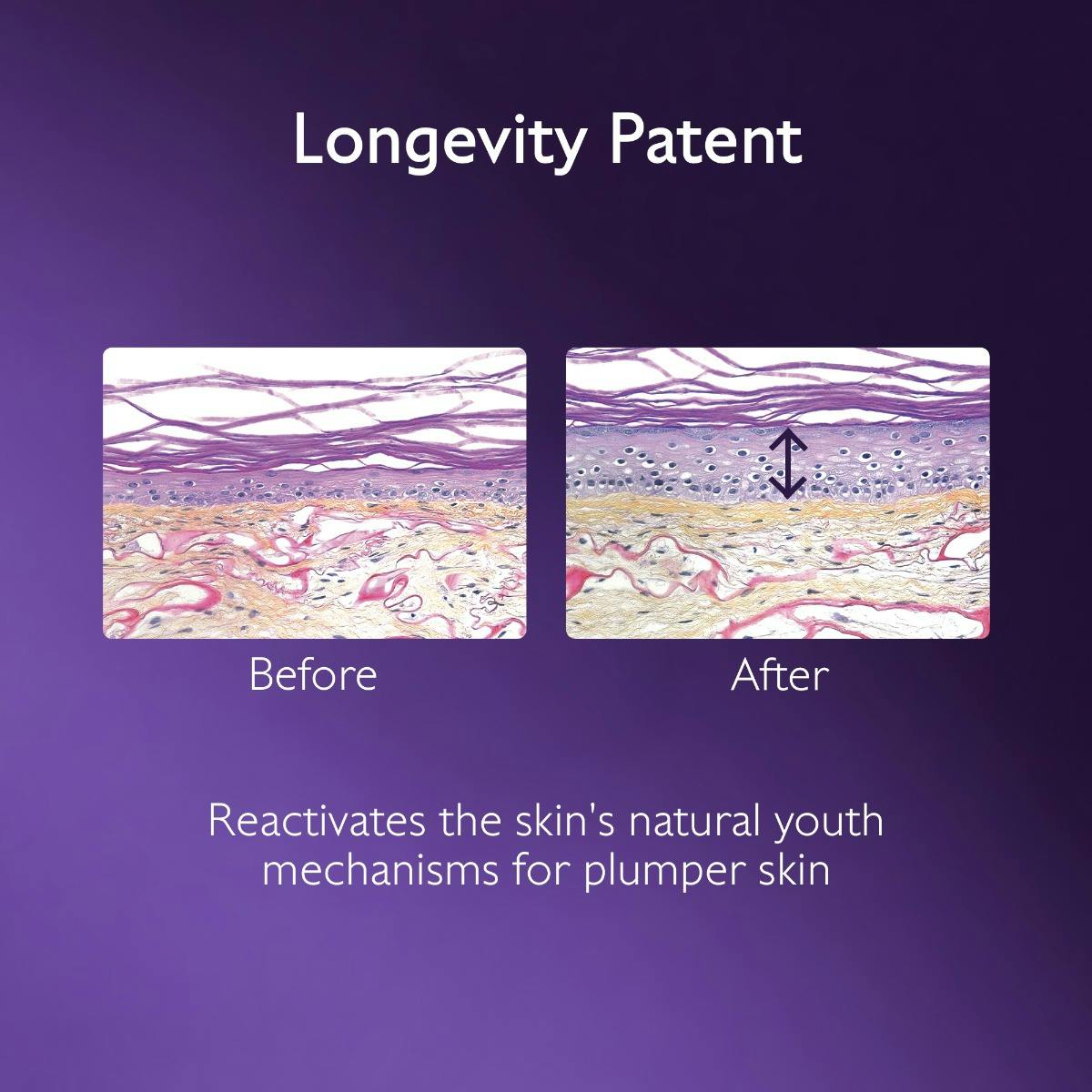 Anti-Aging Serum with Niacinamide and Hyaluronic Acid