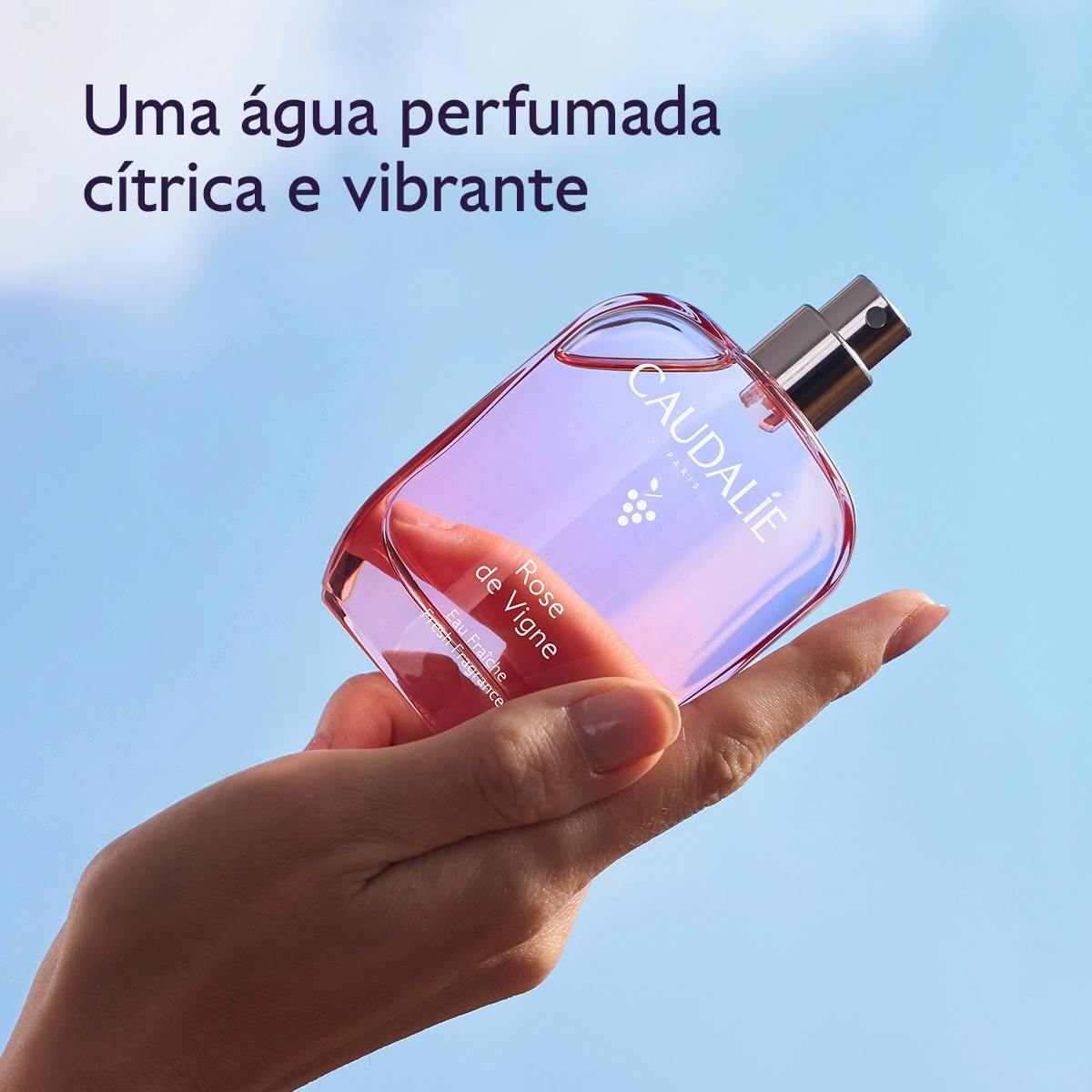 Fragrância Rose de Vigne