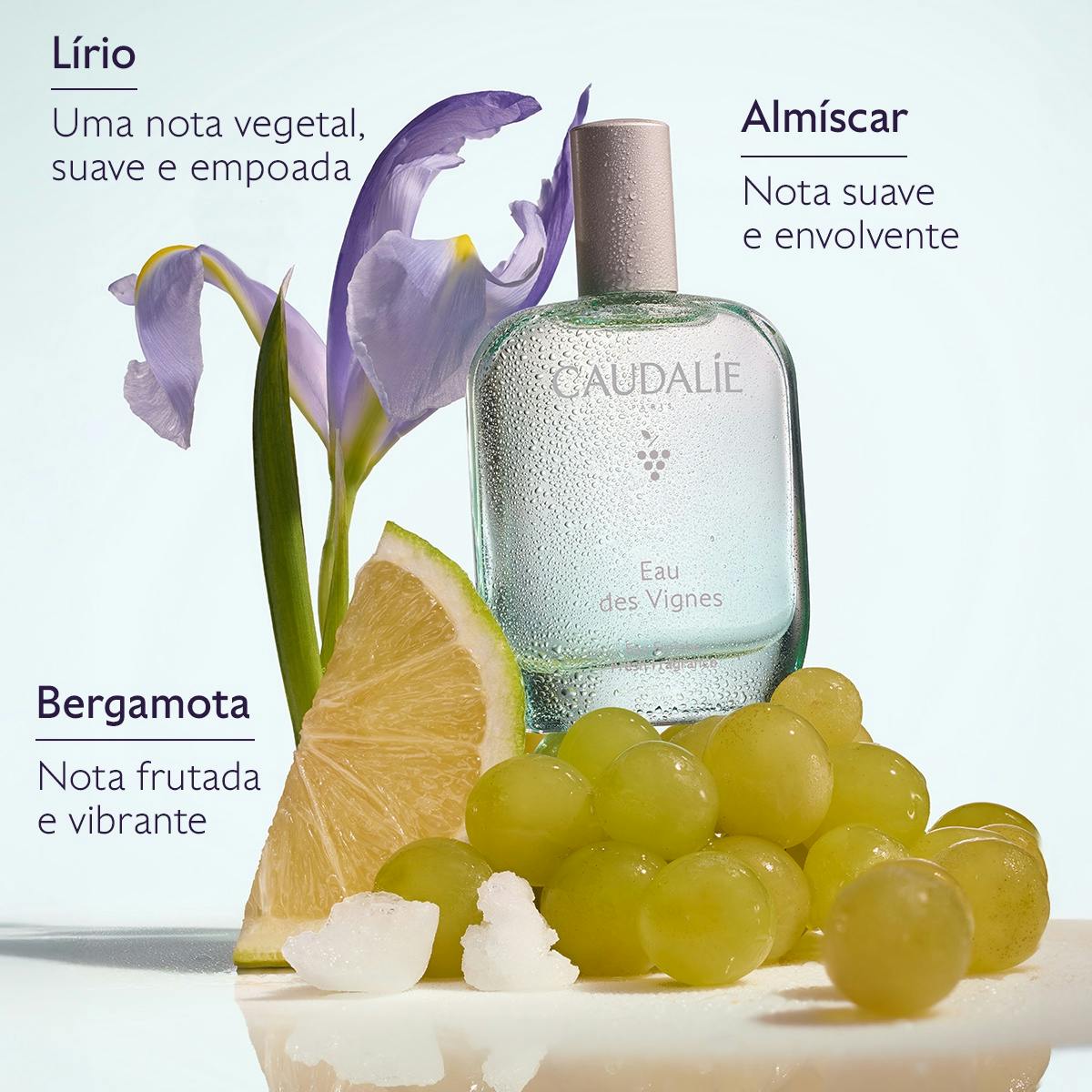 Fragrância Eau des Vignes