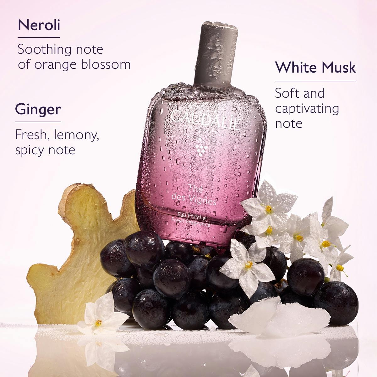 Thé des Vignes Fresh Fragrance
