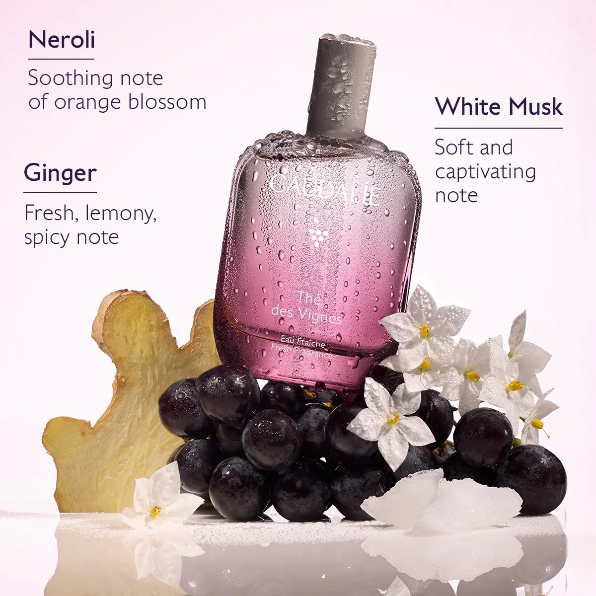 Thé des Vignes Fresh Fragrance