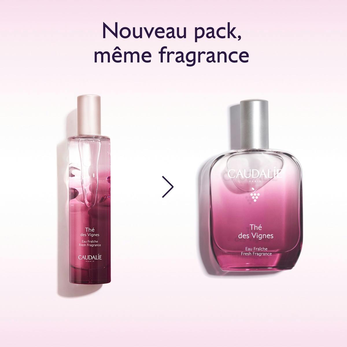 Eau Fraîche Thé des Vignes