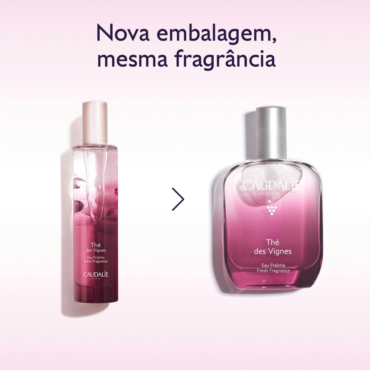 Thé des Vignes Fresh Fragrance