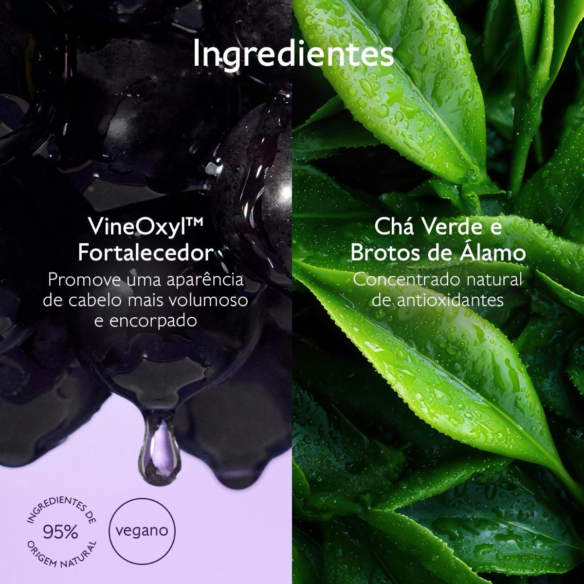 Shampoo Volume & Densidade