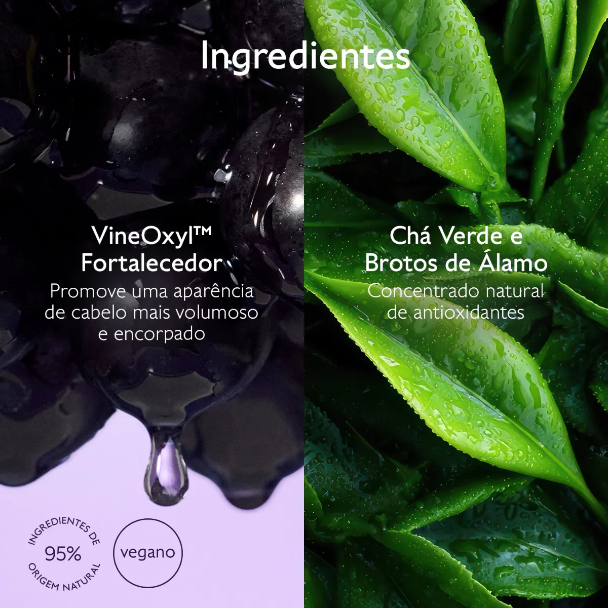 Shampoo Volume & Densidade