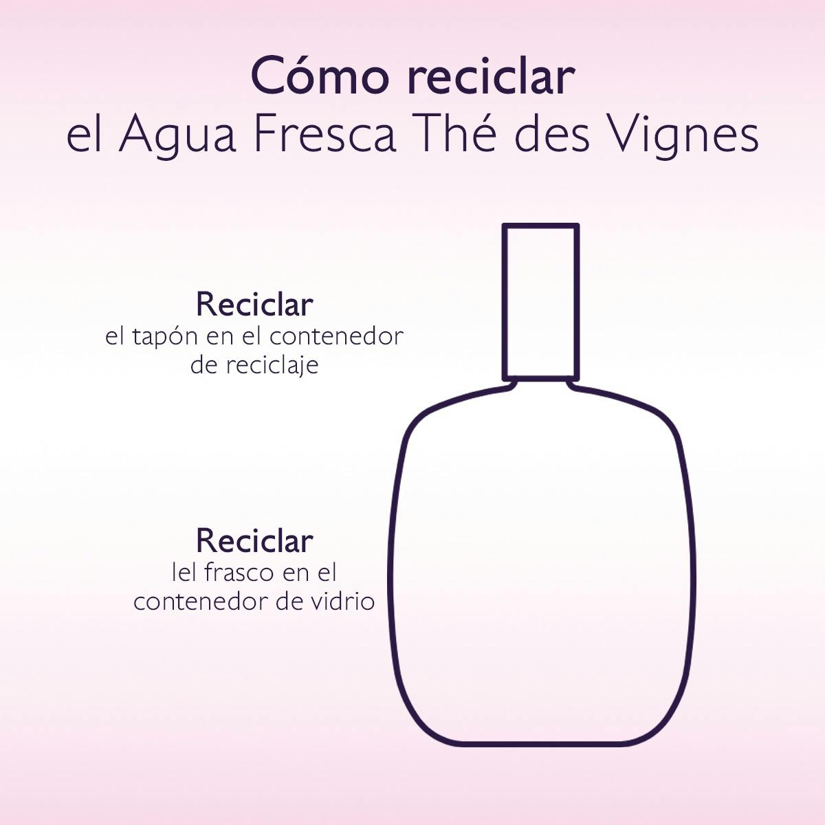Thé des Vignes
