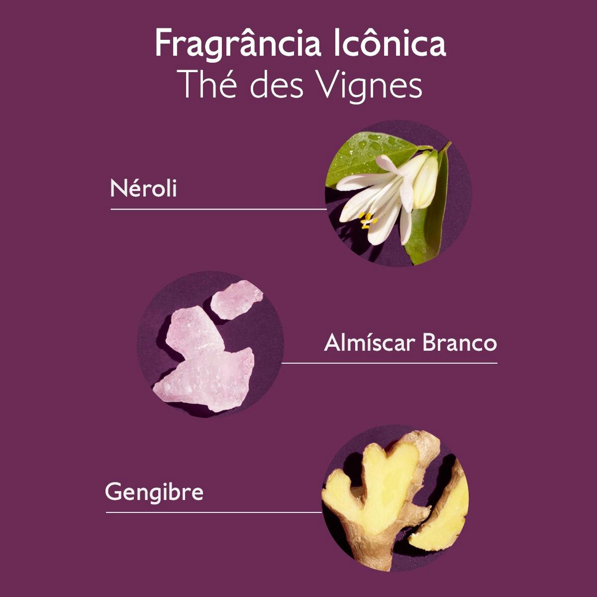 Shampoo Cuidado Suave