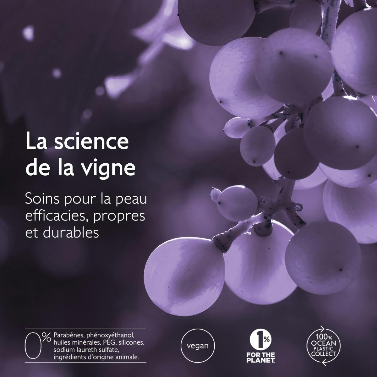 Shampoing Densité & Volume