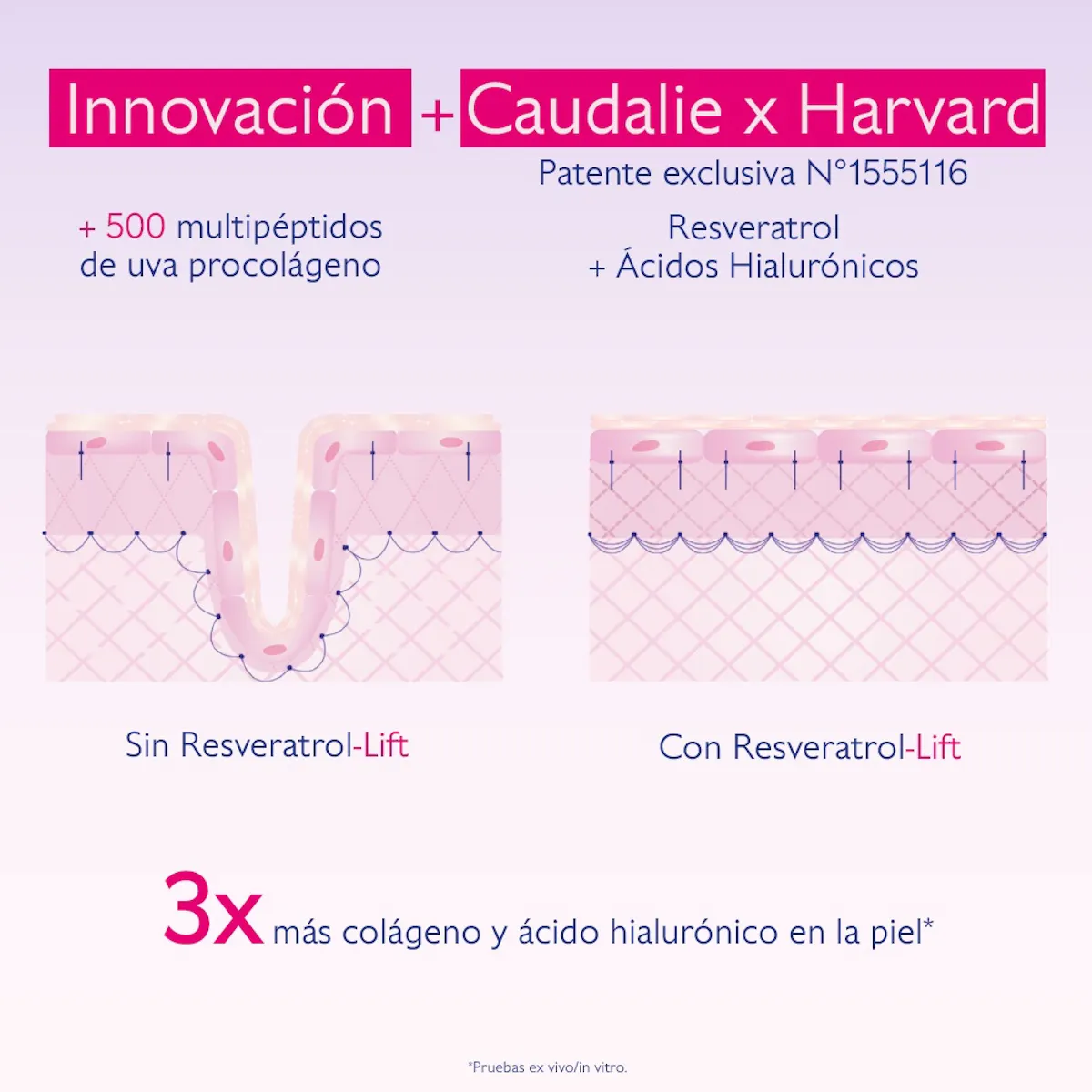 Serum Reafirmante Instantáneo - Refill