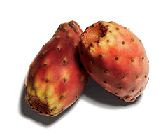 Aceite de higo chumbo Aceite de higo chumbo