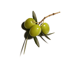 Escualeno de oliva