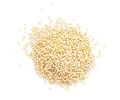 Quinoa extract