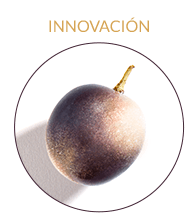 ingredient Vinergy