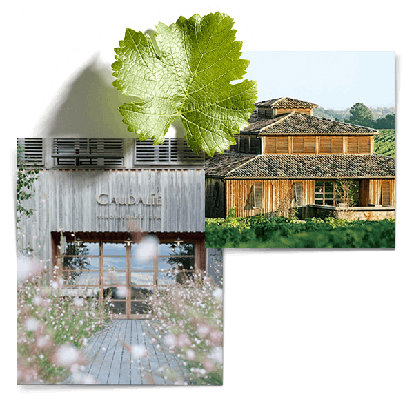Notre premier spa vinotherapie®
