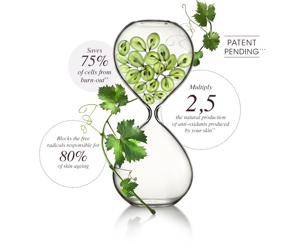 Polyphenols - Proven effective