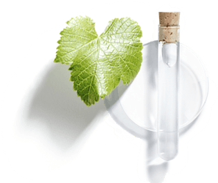 Viniferina